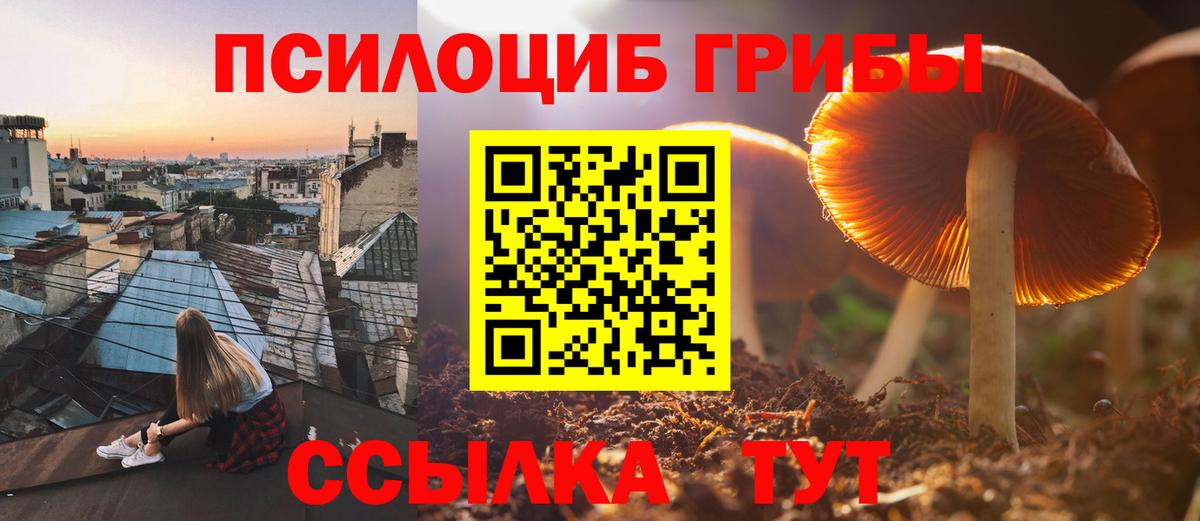 Псилоцибиновые грибы MAGIC MUSHROOMS Кудрово